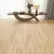 Panele podłogowe FAUS - PRESTIGE - Natural Maple AC5 8mm